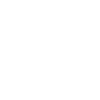 Windows Icon